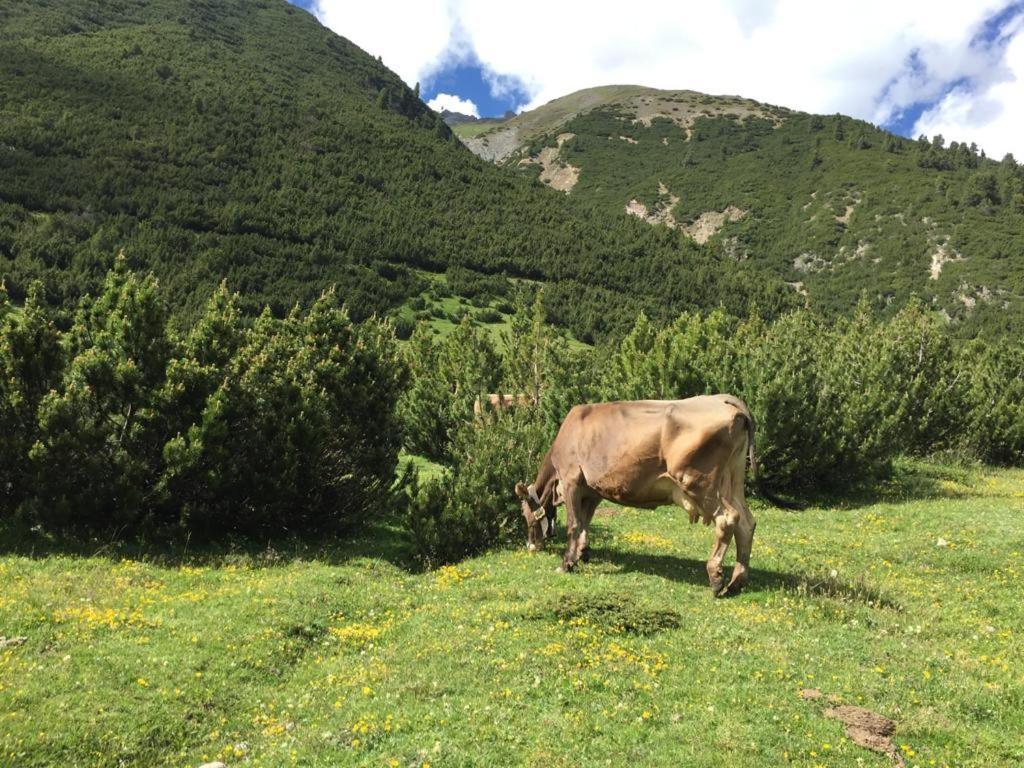 Appartamento Paola Livigno Eksteriør bilde